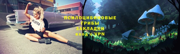 прущие грибы Балахна