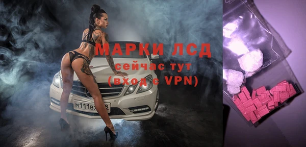прущие грибы Балахна