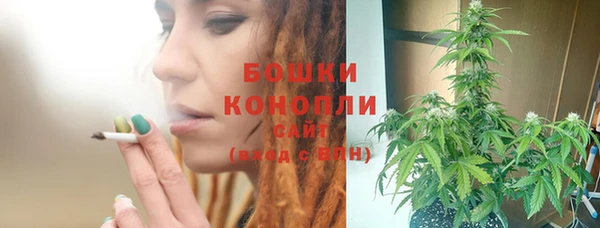 прущие грибы Балахна