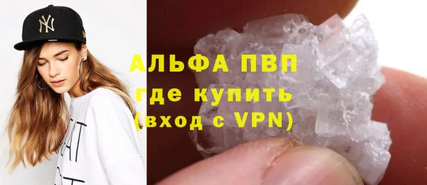 прущие грибы Балахна