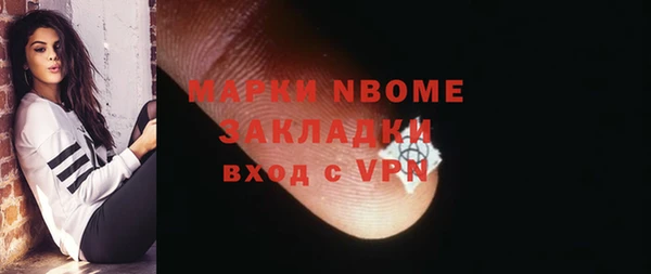прущие грибы Балахна