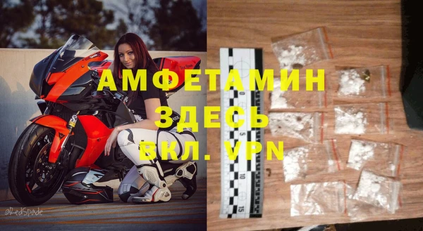 прущие грибы Балахна
