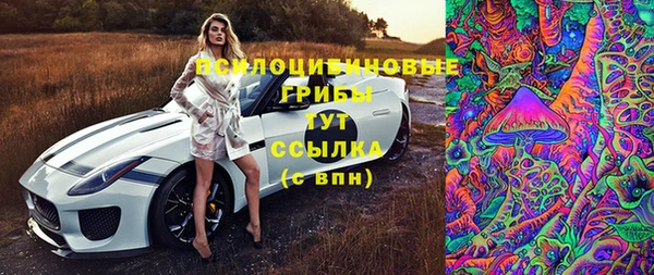 молекула духа Осташков