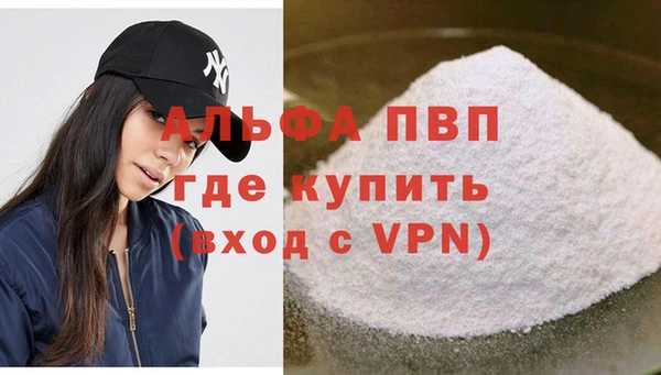 сатива Беломорск