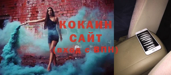 прущие грибы Балахна